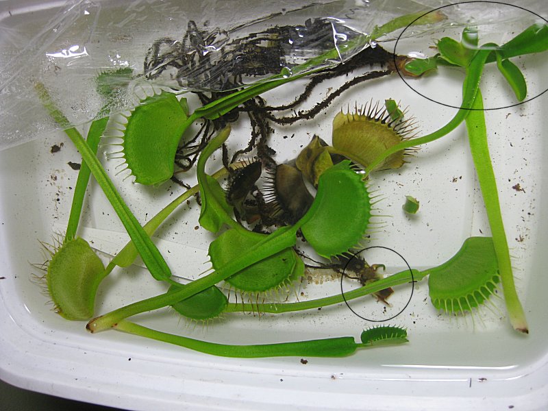 20110525.jpg