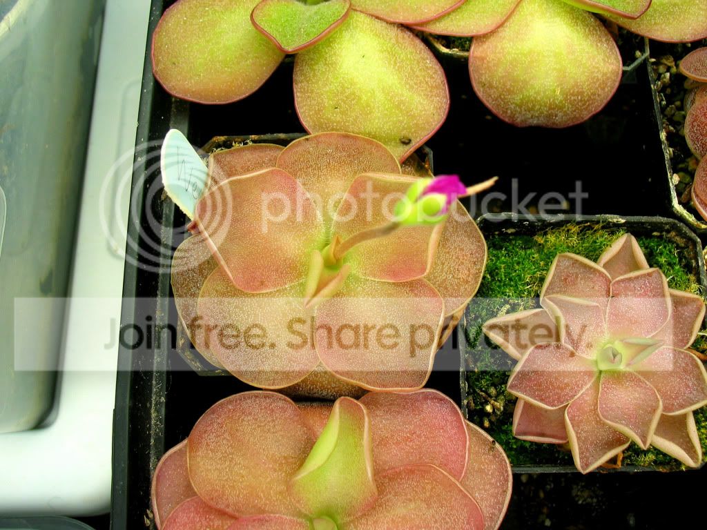 IMG_5927.jpg