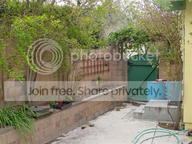 65f79973.jpg
