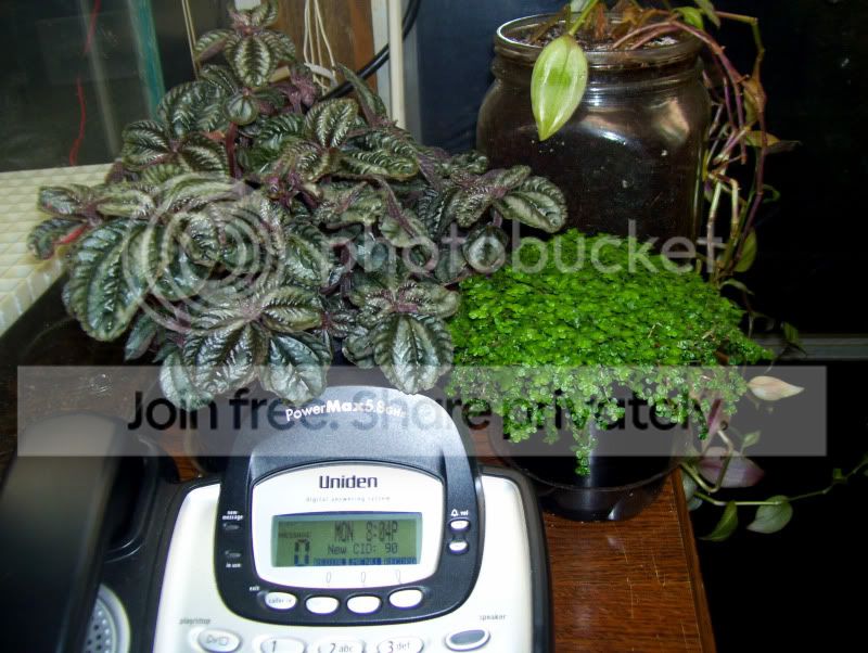 100_2923.jpg