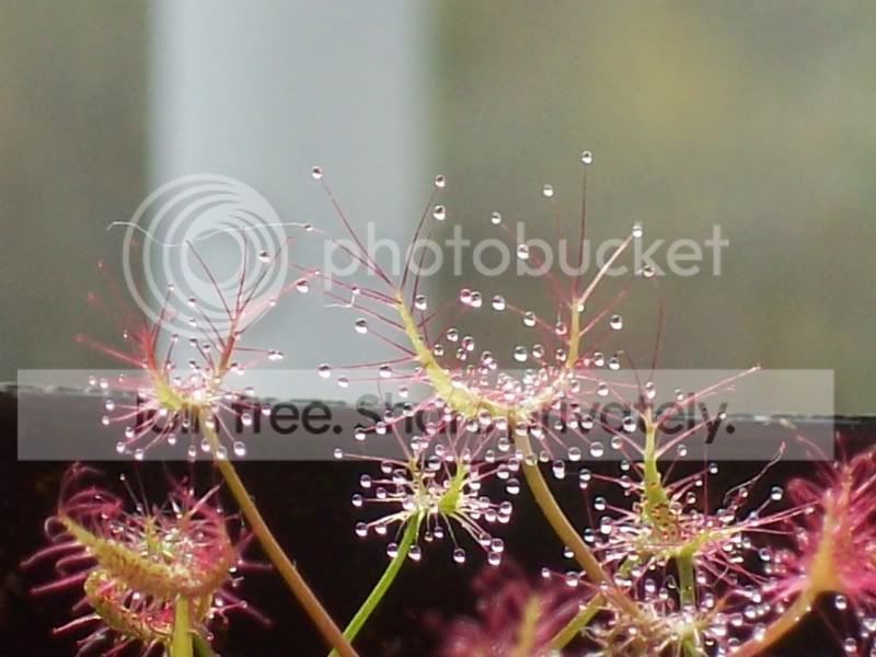 100_8349.jpg
