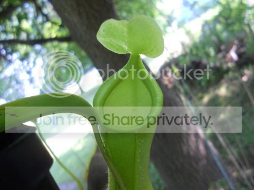 Ncarmen_7-23-11.jpg