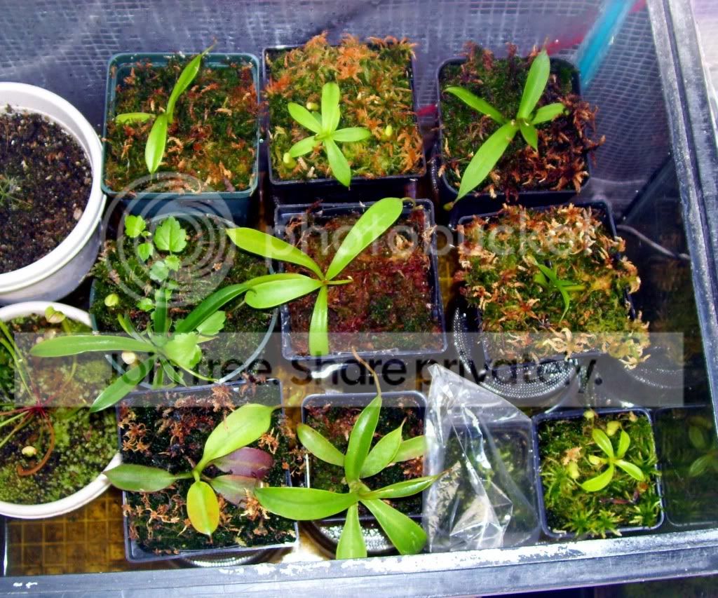 100_7118.jpg