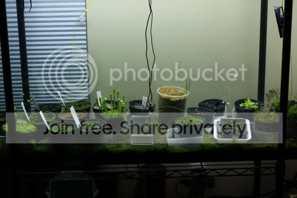 _MG_4751.jpg