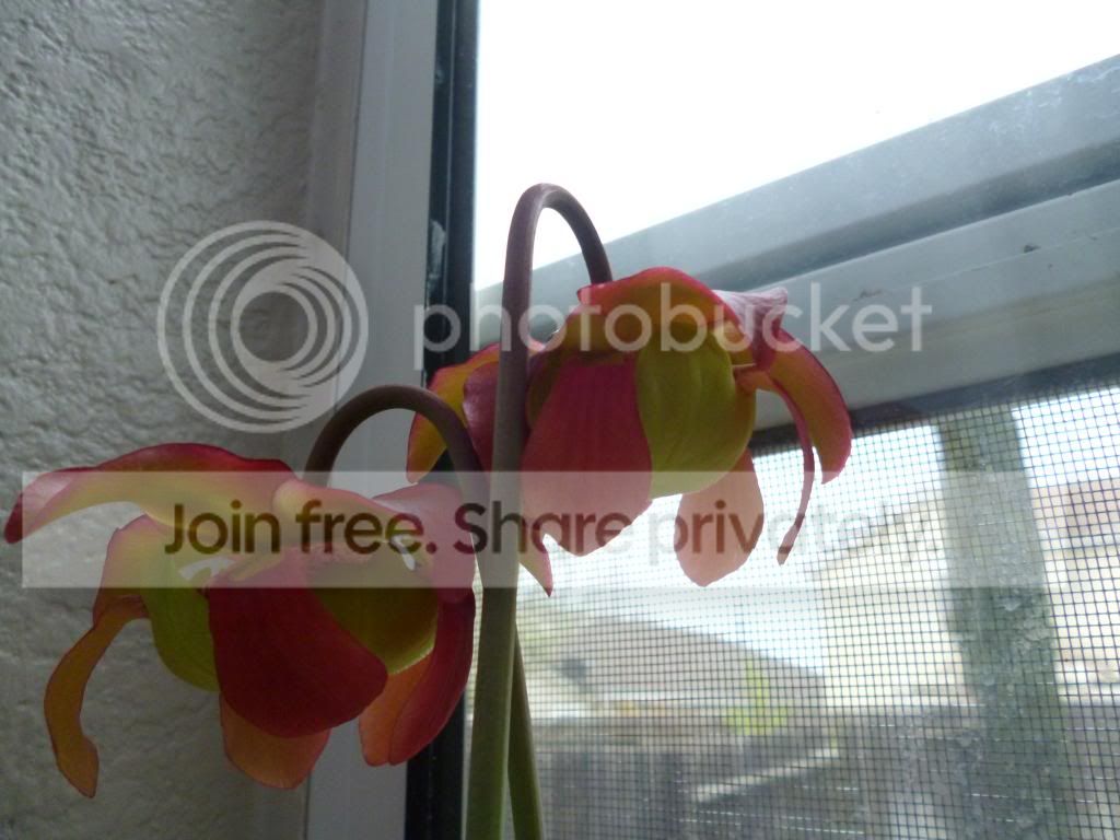 3-28-13006_zps09f53a0b.jpg