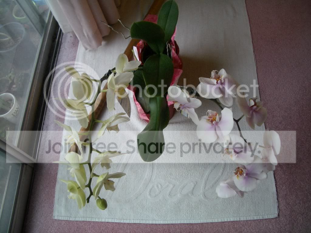IMGP5842.jpg