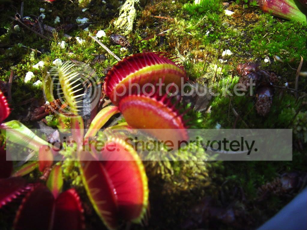 CPs9-17-09012.jpg