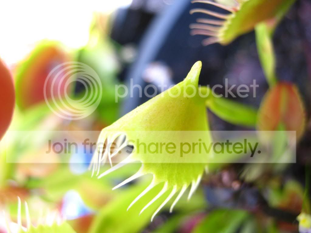 IMG_0014-1_zpse2e5d59a.jpg
