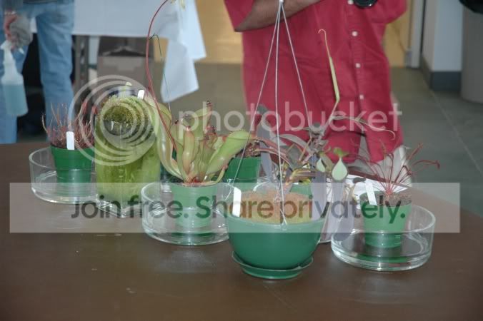 2006-6-5_ICPS_Meeting_084.jpg
