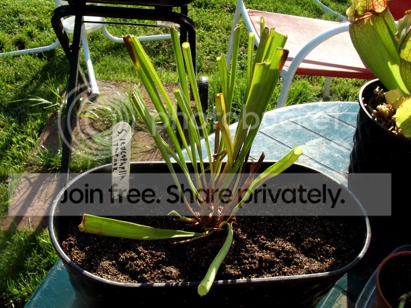 DSCF9125.jpg