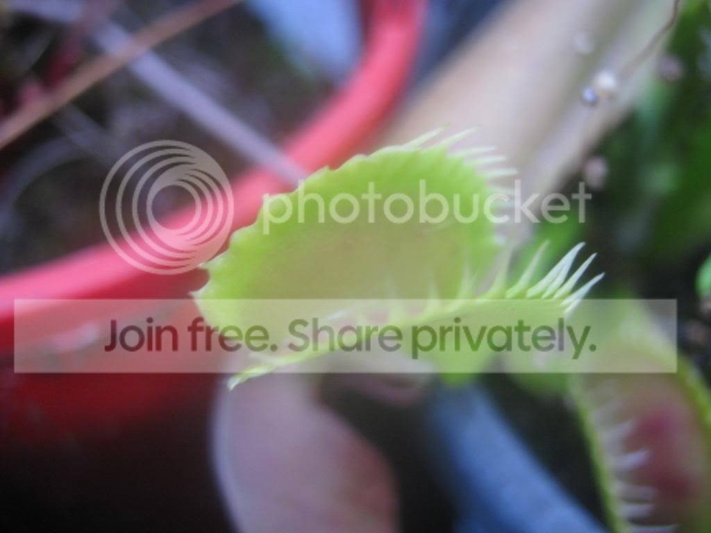IMG_5461_zps47eb1cb1.jpg