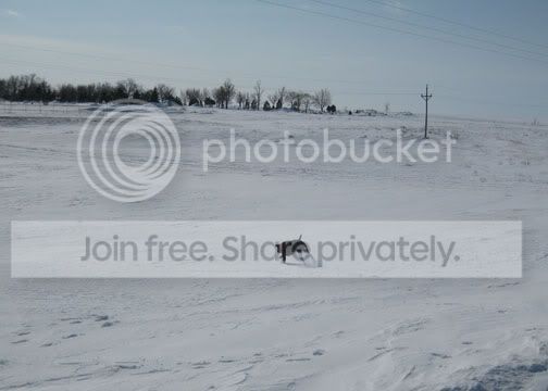 IMG_1157.jpg