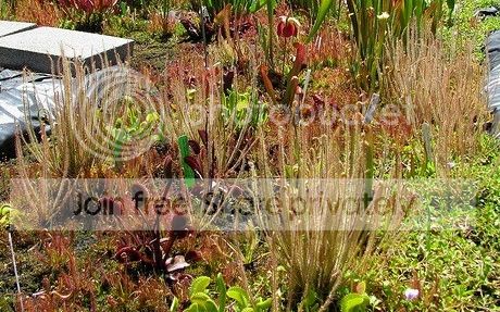 13513683645_bfc166d393-Copy.jpg