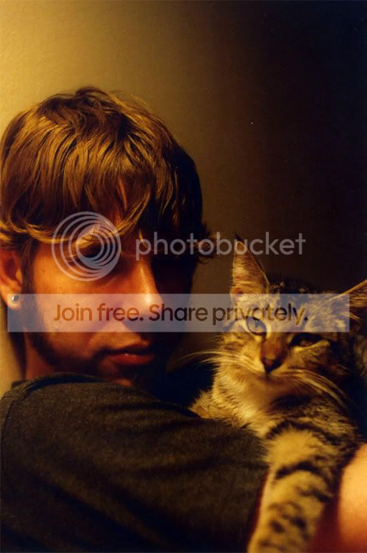coolcats.jpg