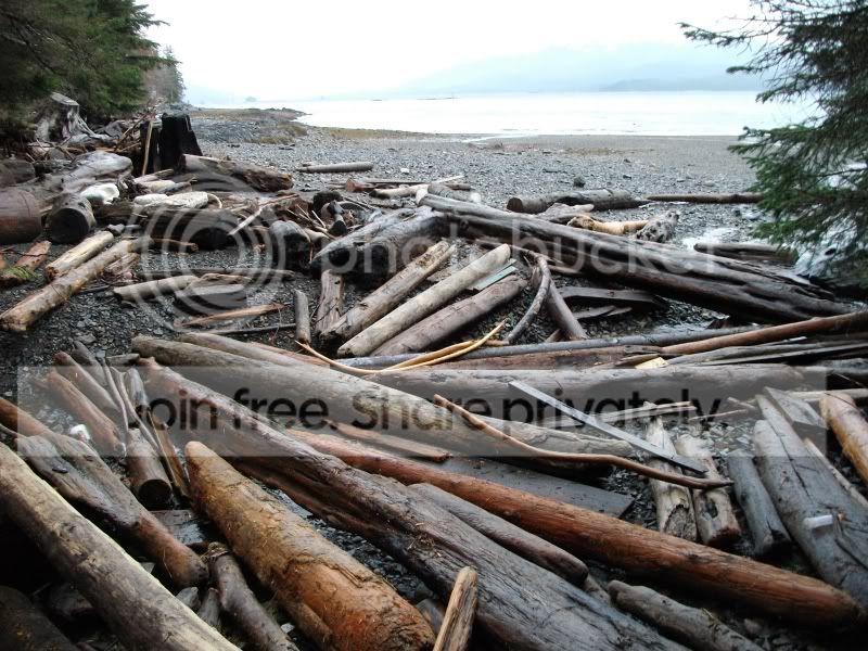 SANY0316.jpg