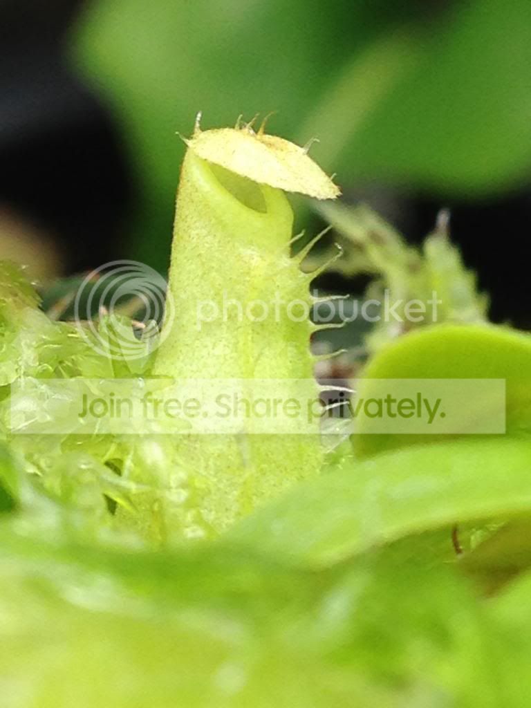image_zpsf27fd269.jpg