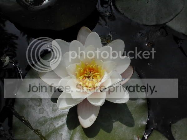 DSCN1134.jpg