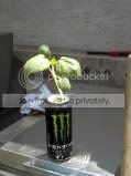 DSCN0652.jpg