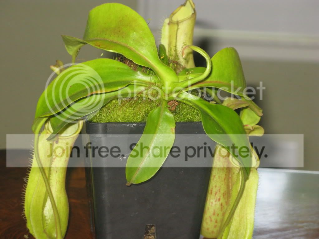 IMG_6771.jpg