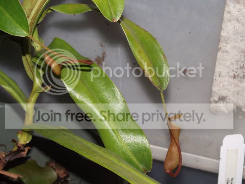 DSCF5489.jpg