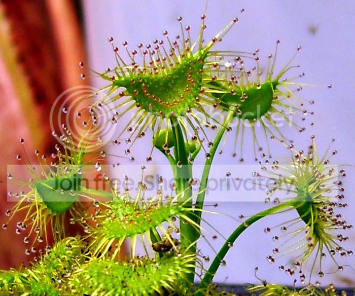 100_8231.jpg