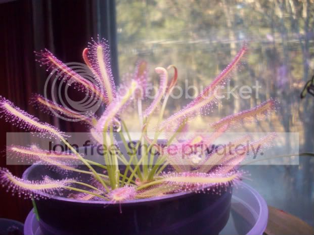 100_0309.jpg
