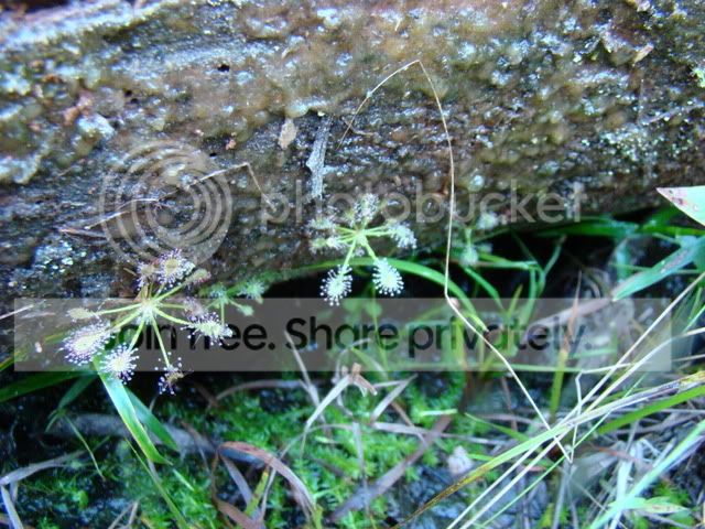 ReferenceandCPs052.jpg