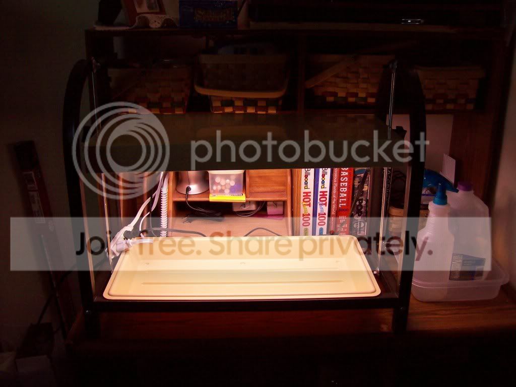Picture024-4.jpg