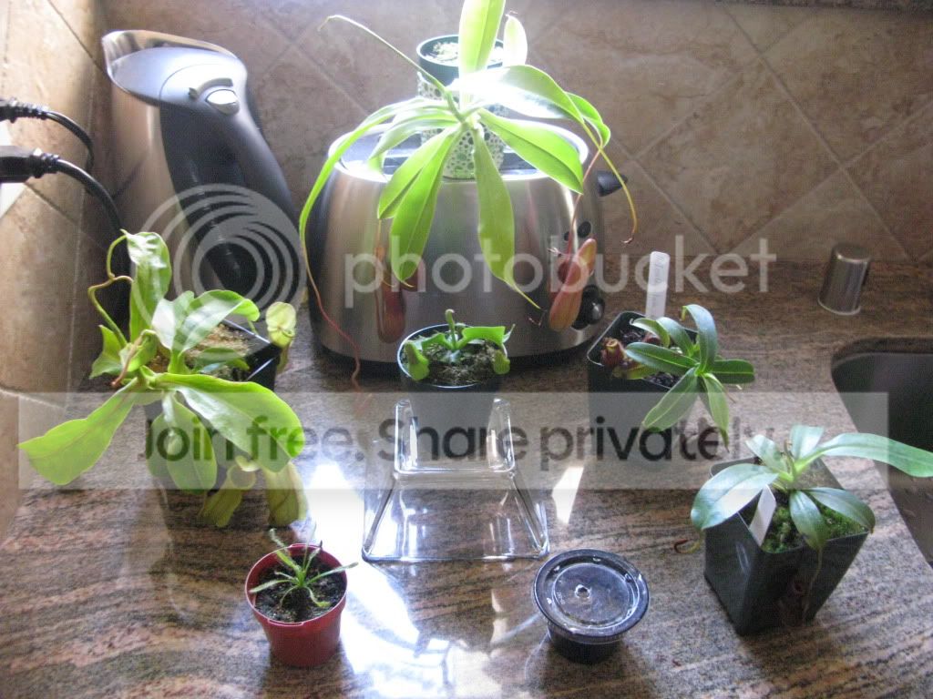 IMG_8942.jpg