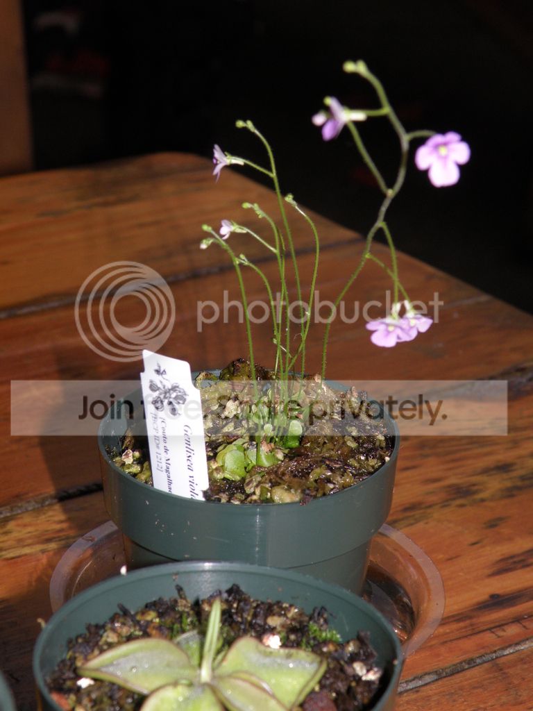 PB127874.jpg