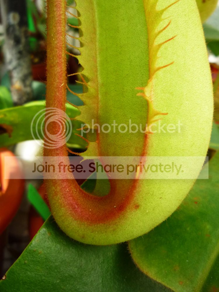 008-11.jpg