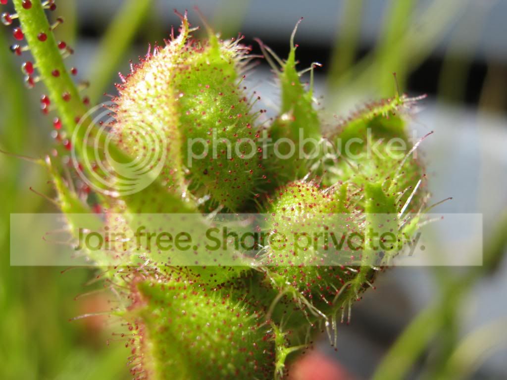 IMG_0018.jpg
