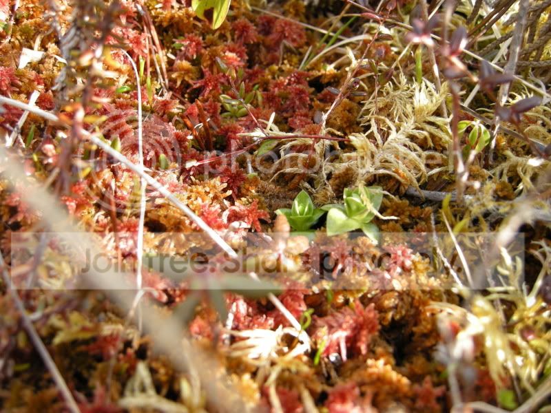 DSCN5943.jpg