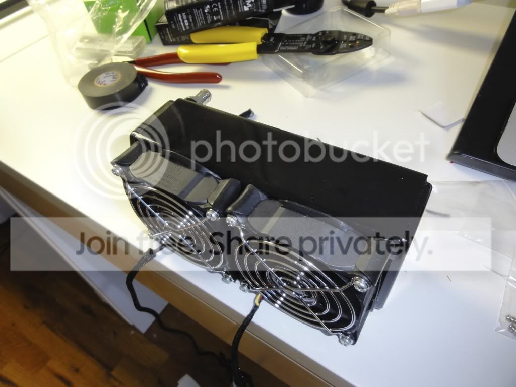 DSC01342.jpg