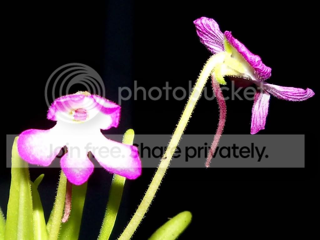 100_0087.jpg