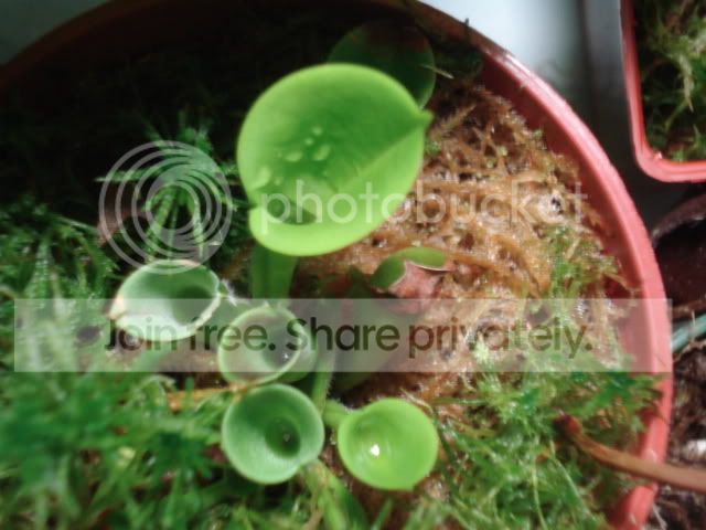 DSC01398.jpg