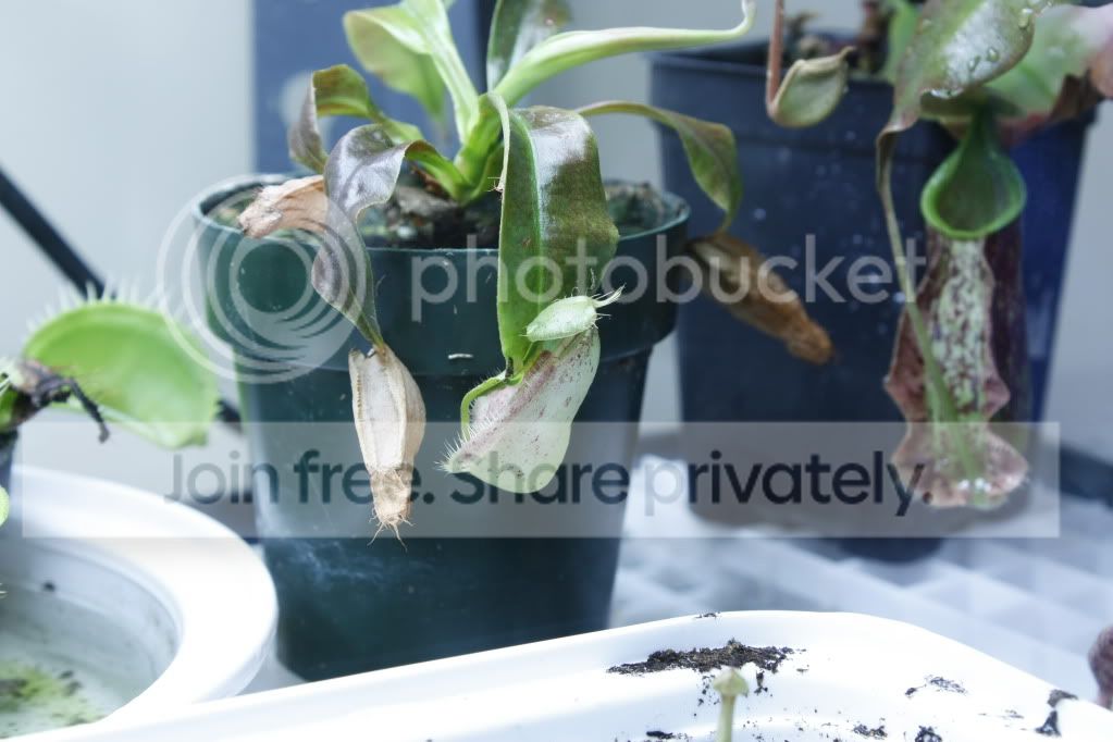 _MG_3787.jpg