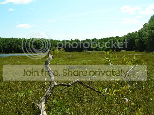 DSCN4743.jpg