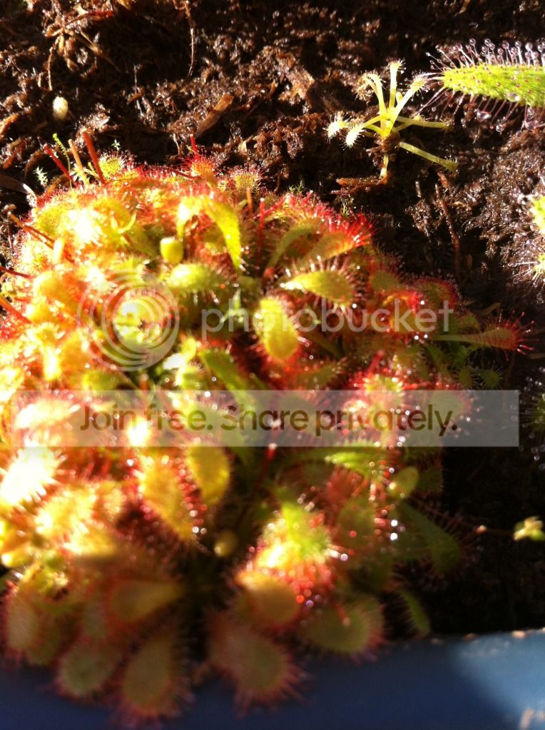 fall2012150_zps9cb59a87.jpg