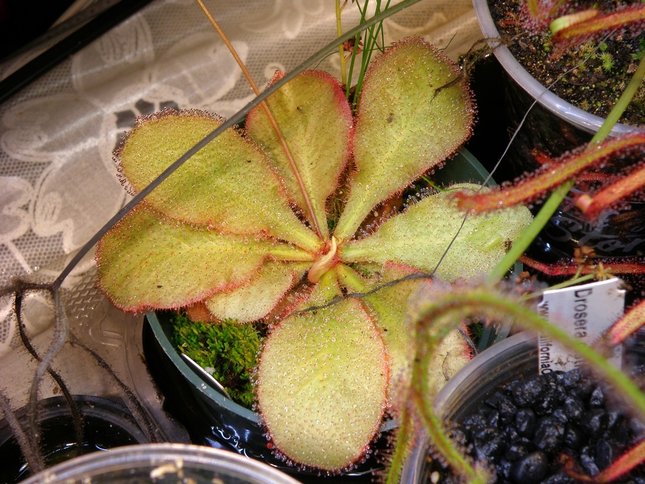 m-PA101089.jpg
