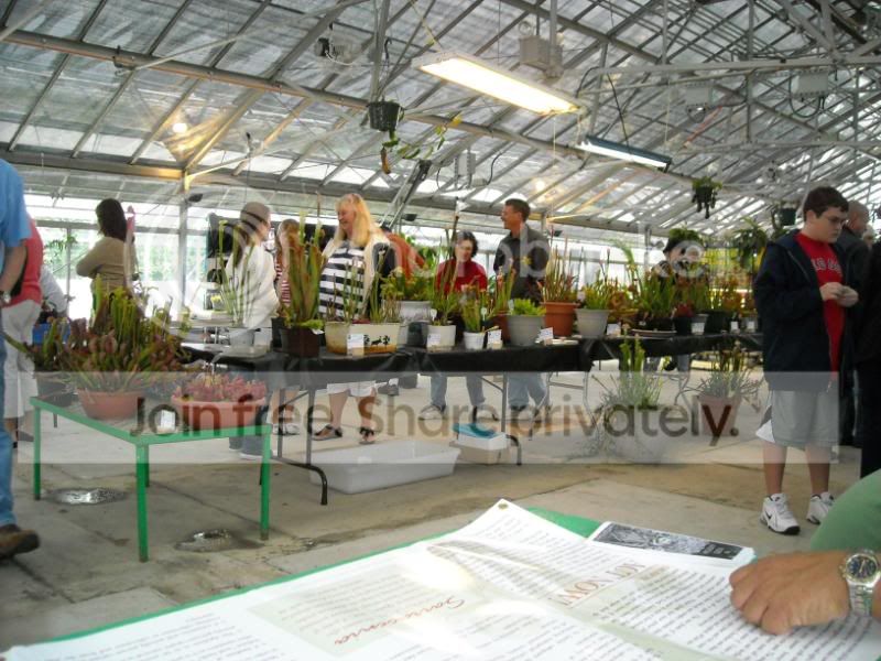 NECPS08150.jpg