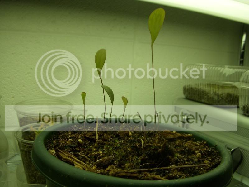 DSCN2909.jpg