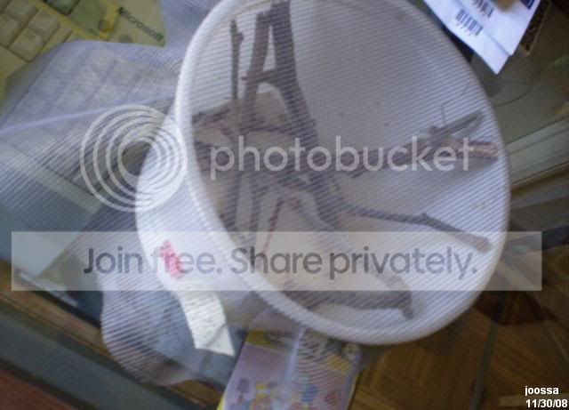 PPB300147.jpg