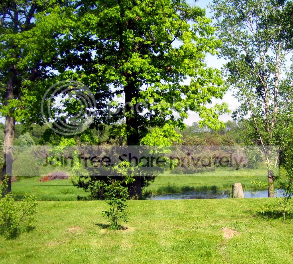 100_8546.jpg