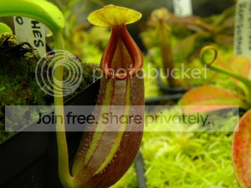004_zps6136fcd3.jpg
