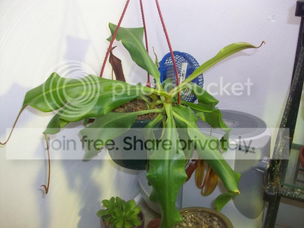 100_2750.jpg