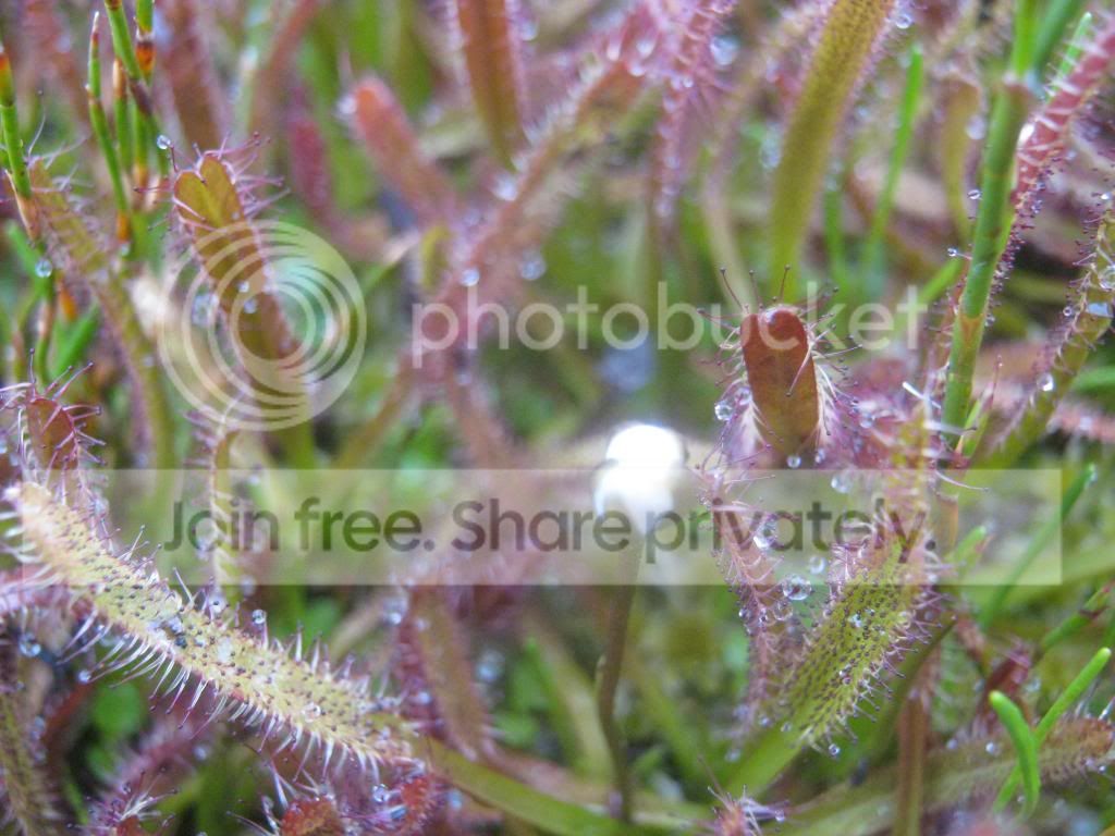 IMG_5080.jpg