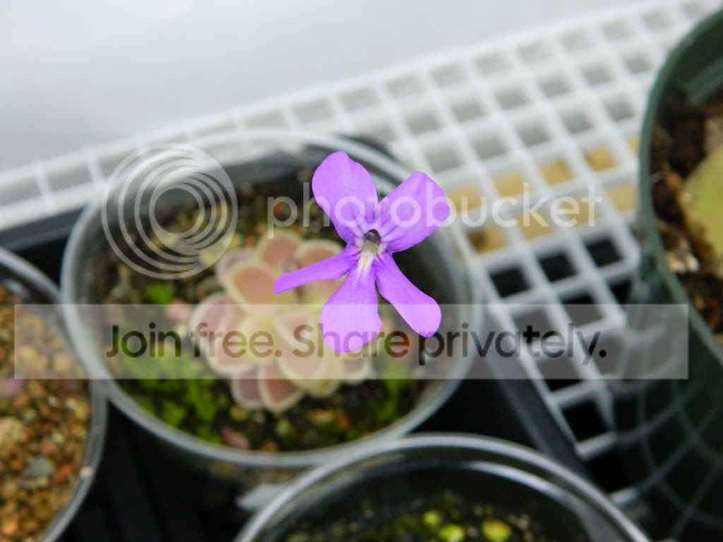 DSCN0832.jpg