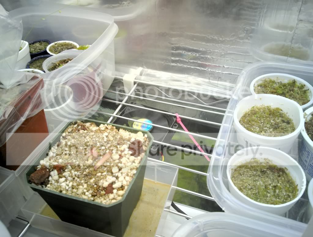 20111121_006b.jpg