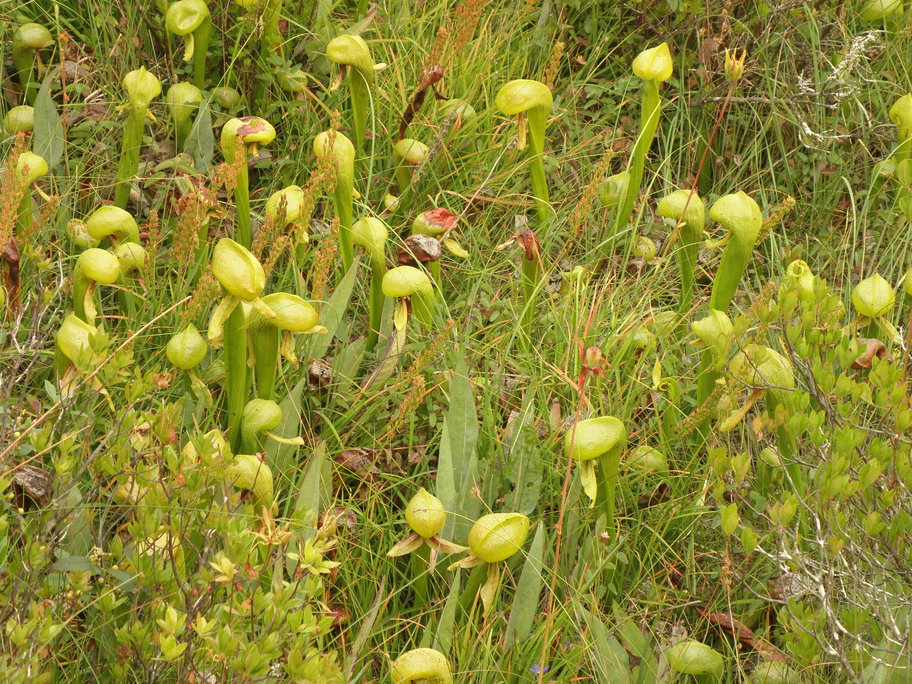 P8069078s.jpg